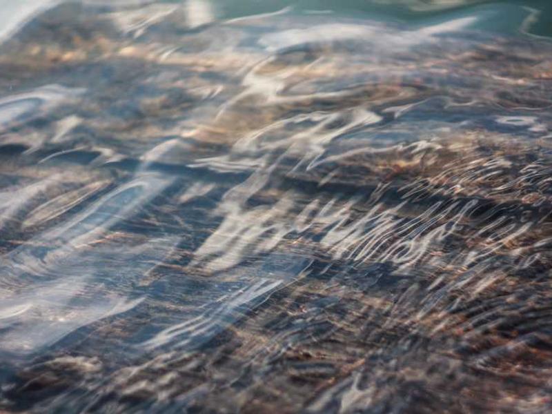 あなたの声で、もう一度